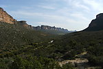 阿尔卑斯山