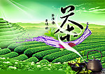 茶园茶叶
