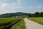 田园风光