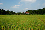 田园风光