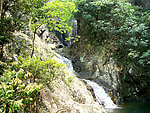 青山绿水