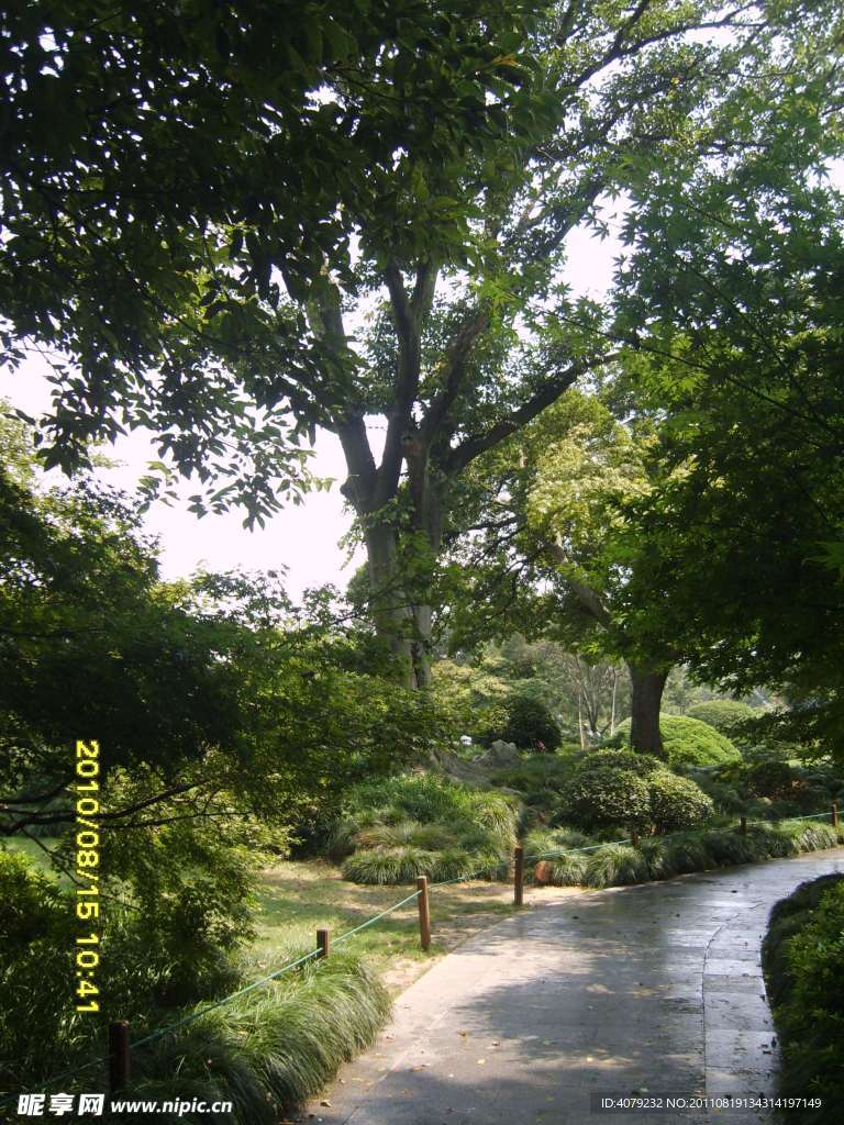 西湖风光
