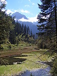 风景如画