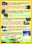 旅游宣传单