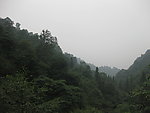 山林