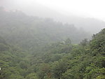 青城山白云索道府视