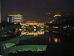 夜景 桥 倒影 江水 香蕉叶