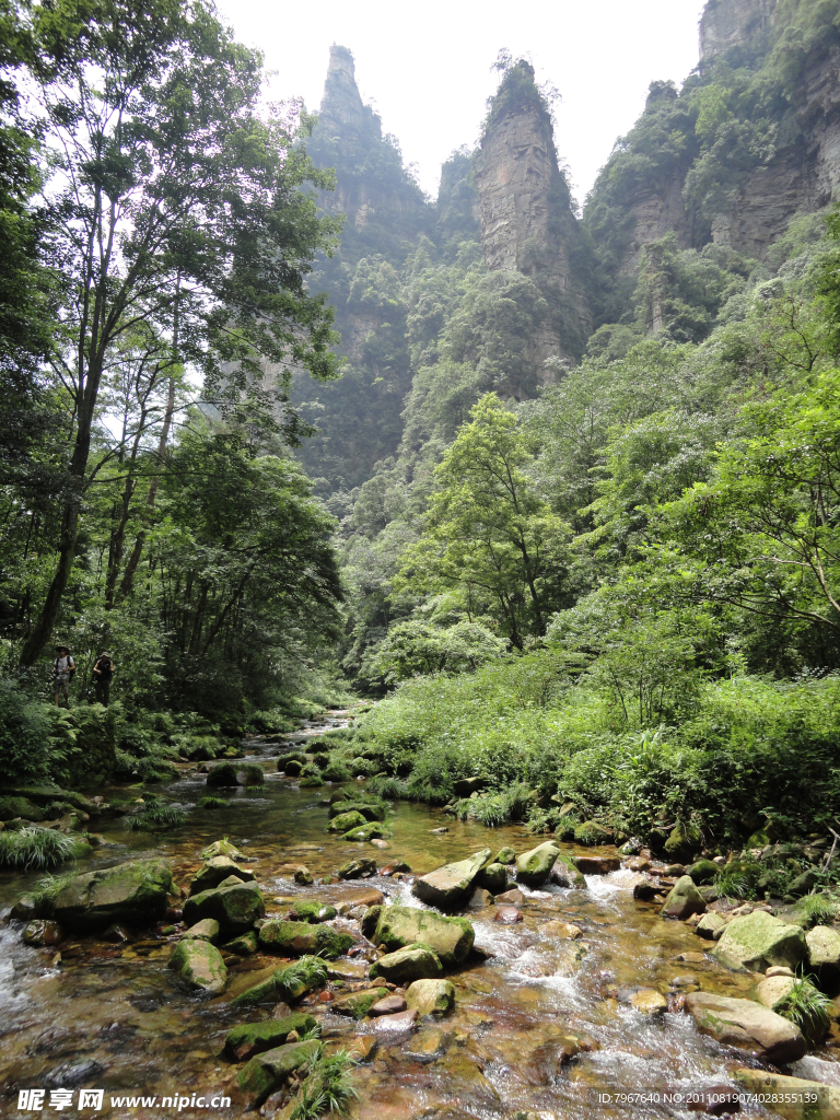 湖南张家界山景