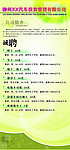 汽车公司招聘海报