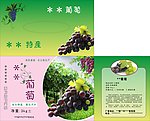 葡萄包装盒