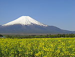 日本富士山