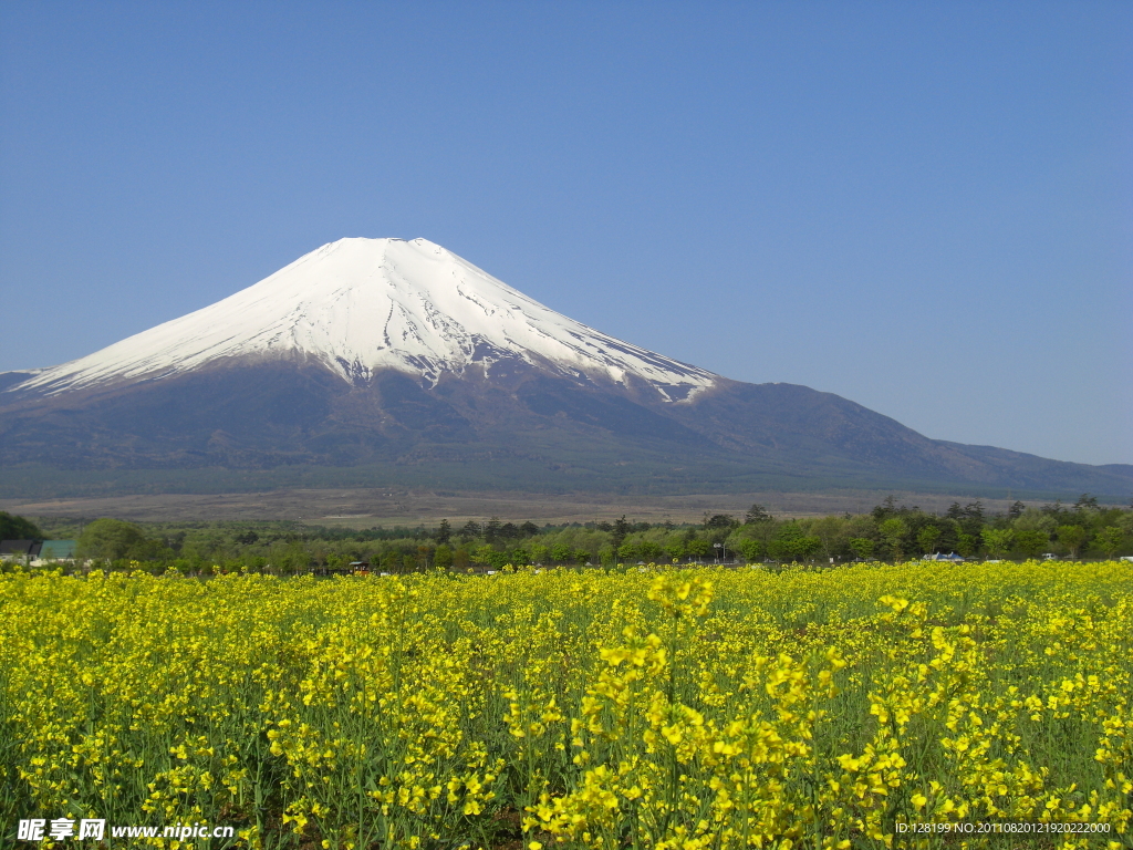 日本富士山