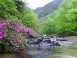 青山绿水
