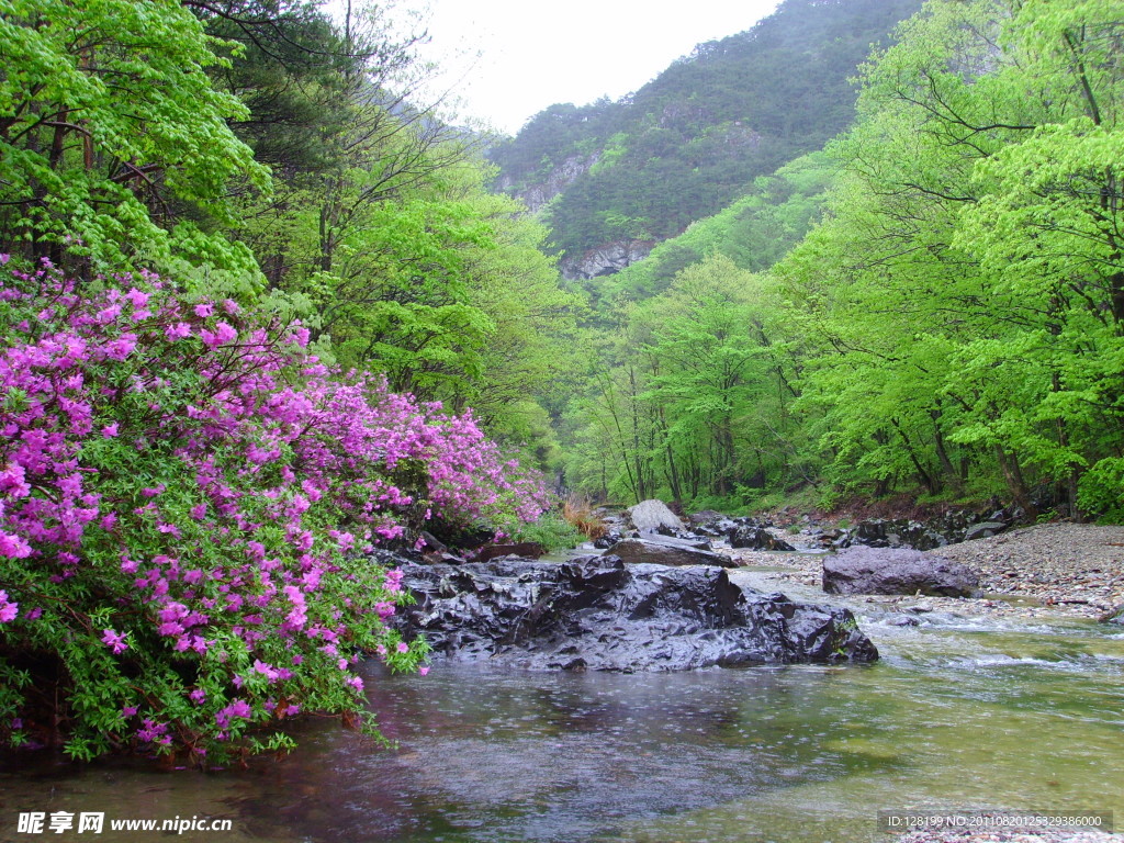 青山绿水