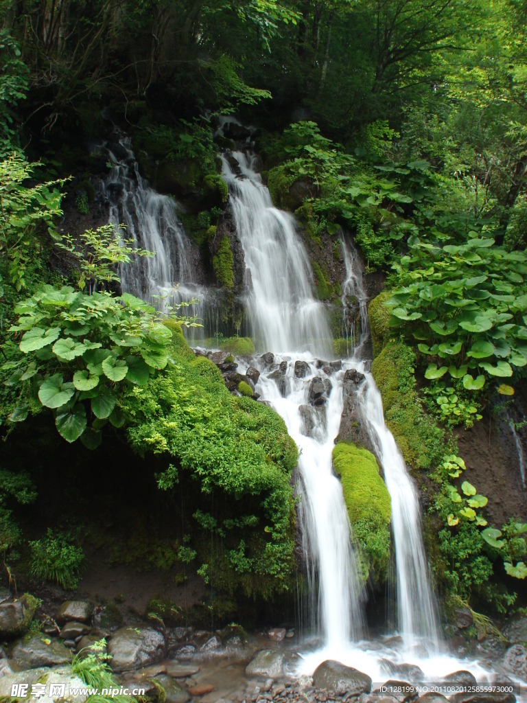 青山绿水