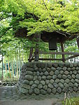 竹林