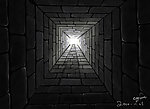 地窖插画