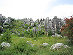 丽江石林