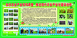 现代农业展板