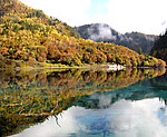 山水