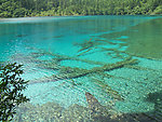 青山绿水