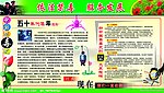 依法禁毒