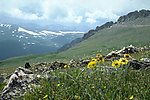 阿尔卑斯山