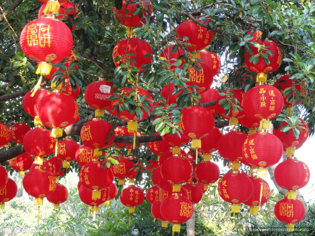 荔园红灯笼