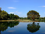 美丽风景