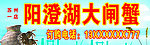 阳澄湖大闸蟹