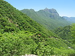 山林