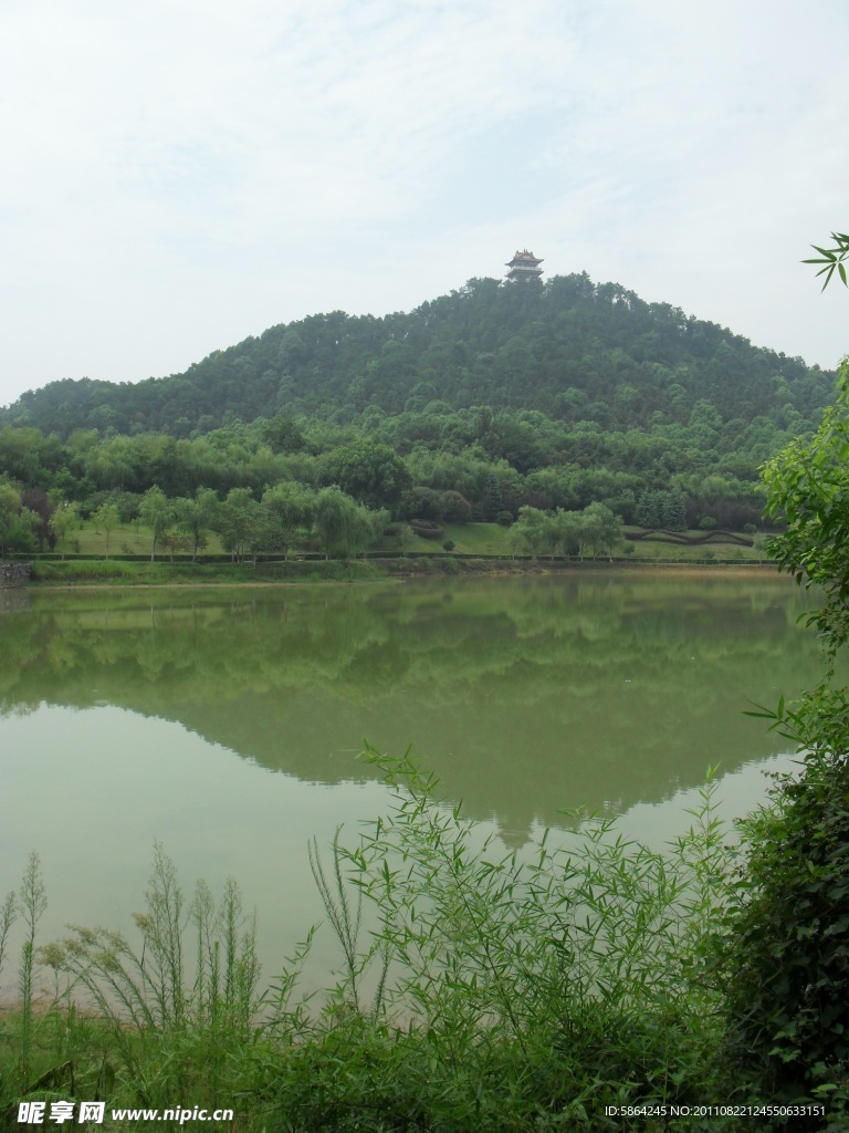 青山绿水