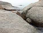 礁石 海浪