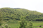 山林