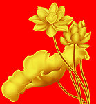 金色莲花