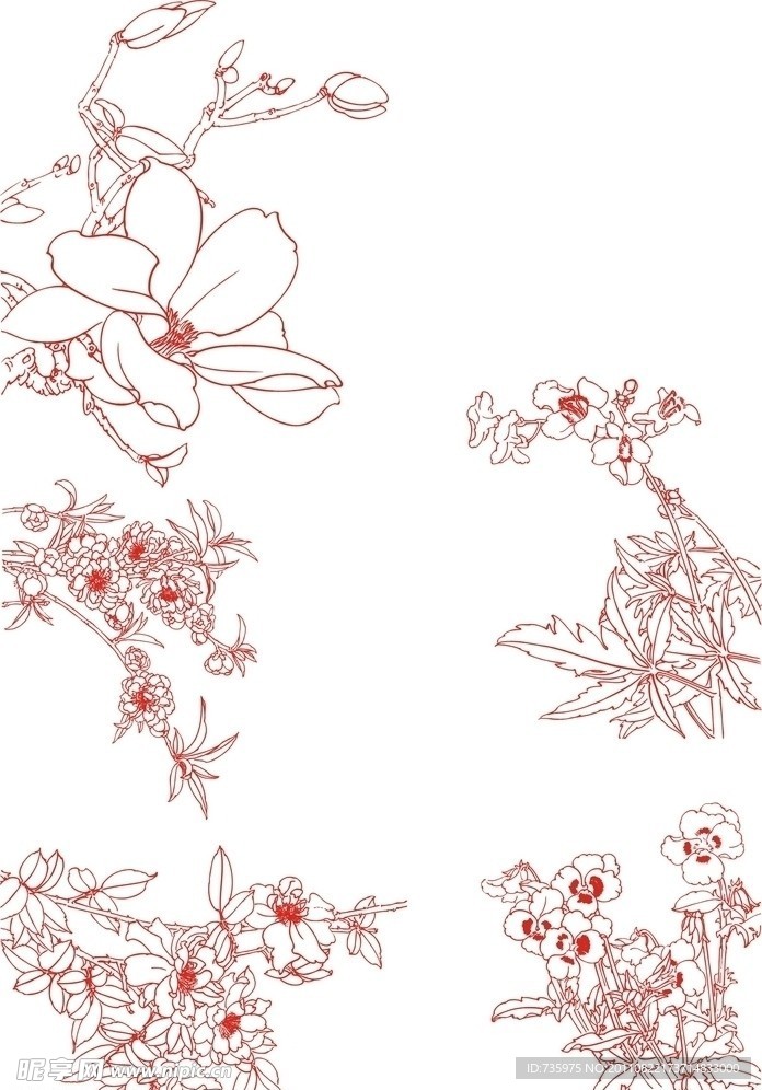白描花