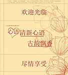 湿巾 纸巾 郁金香