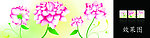 花卉装饰画