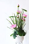 花艺(非高清)