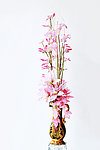 花艺(非高清)