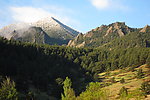 阿尔卑斯山