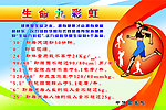 生命九彩虹展板