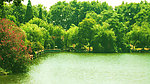 园景色秀美(非高清)