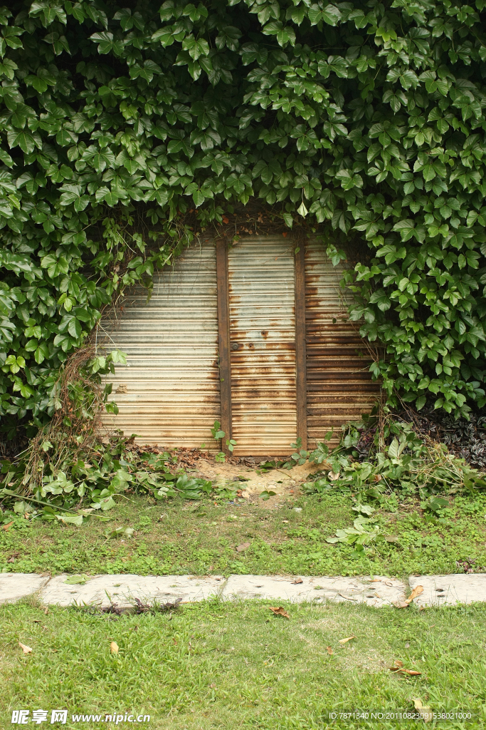 树屋