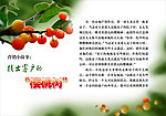樱桃树