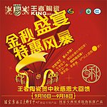 王者陶瓷地贴