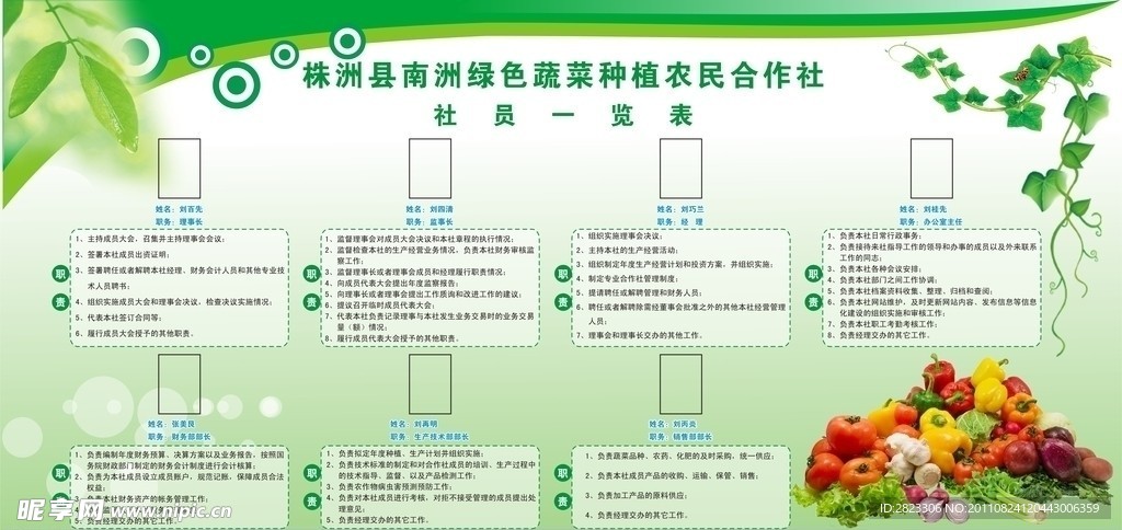 成员一览表