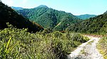 山间小路