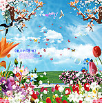 百花齐放