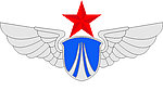 空军臂章